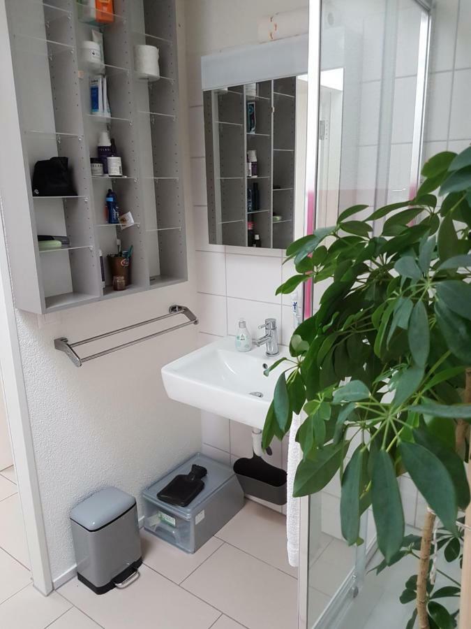 Zimmer in Penthouse-Wohnung Windisch Exterior foto