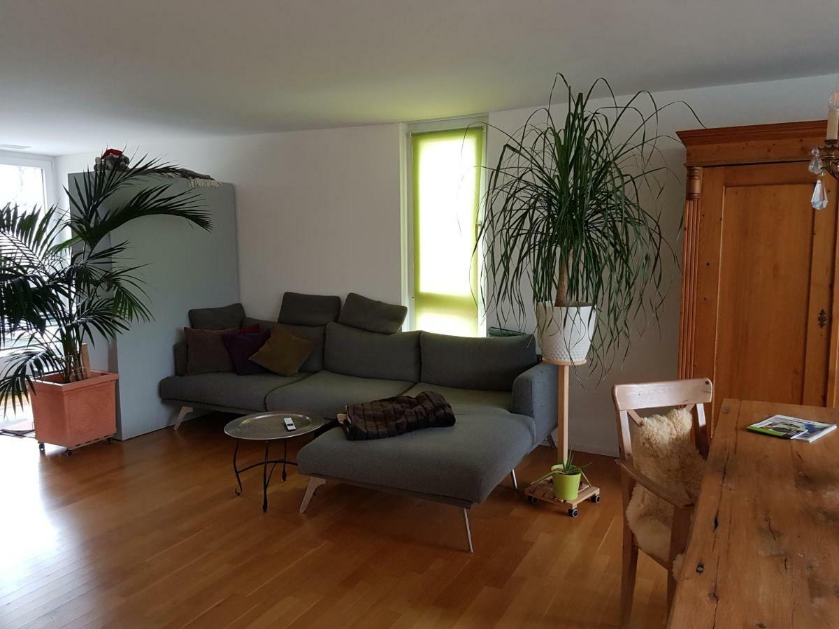 Zimmer in Penthouse-Wohnung Windisch Exterior foto